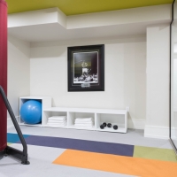 1_Basment-gym-with-carpet-tile-flooring-and-gym-equiptment-and-storage